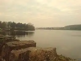 A misty shot of a lake surrounded by trees