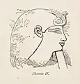 Sketch from temple relief of Thutmose II. Considered a weak ruler, he was married to his sister Hatshepsut. He named Thutmose III, his son as successor, but Thutmose III was too young to rule at his father's death and thus his stepmother Hatshepsut was his regent. Hatshepsut and Thutmose II had a daughter, Neferure.