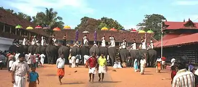 Caparisoned elephants during the festival