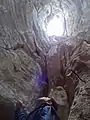 A sinkhole looking up