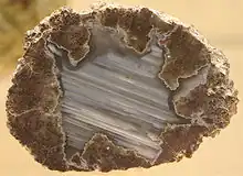 A thunderegg from Succor Creek on display at the Oregon State Capitol