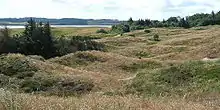 View across the dune heaths of Hanstholm game preserve.