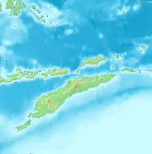 Kupang Regency is located in Timor