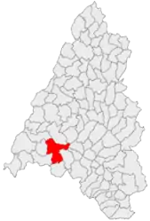 Location in Bihor County