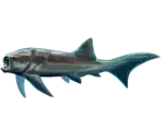 Titanichthys termieri