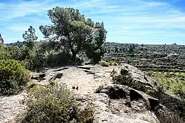 The Saladar tombs