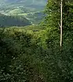 View from the end of Havešová towards the village of Topoľa (upper left)