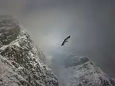 Snow storm near Cacheuta at the foothills of the Andes