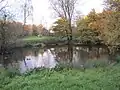 Laurel Farm Pond in Totteridge Green