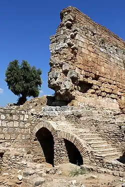 Ruins at Tralles