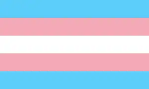 Trans pride flag, made up of horizontal stripes of (from top to bottom) light blue, pink, white (which represents nonbinary people), pink and light blue.