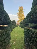 Garden with topiary