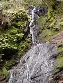 Triple Falls is around 35 feet tall.