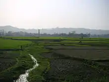 Green agricultural field, with a hill range far in the background.