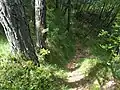 Mount Tavagnone, crossroad at Dos de le Mee of the trail at Bocca alla Croce, Tavagnone and Pavarì