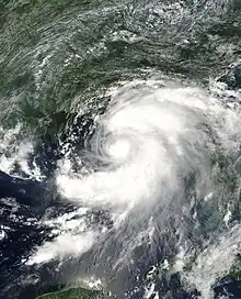 Satellite imagery showing a well-organized tropical storm in the eastern Gulf of Mexico