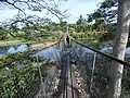 Tuaran canopy walk.