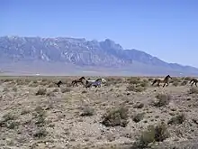 Tule Valley, a cold semi-desert