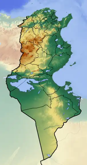 Kasserine Dam is located in Tunisia