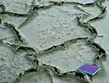 Recent "teepee" structures in a Tunisian salt lagoon, "chott".