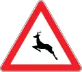 Wild animals crossing