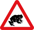 Migratory toad crossing