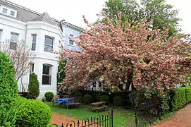 East Capitol Street NE