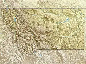 Location of Snyder Lake in Montana, USA.