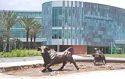 University of South FloridaTampa