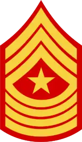 E–9 sgtmaj insignia