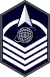 Master sergeant insignia