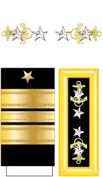 Historical USN Admiral rank insignia.