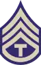 The T/3 insignia of a letter "T" below three chevrons and above an arc of one bar.