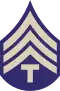 The T/4 insignia of a letter "T" below three chevrons.