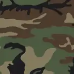 'Woodland' is the name of the default camouflage pattern issued to the Ecuadorian soldiers.