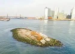  islet with bridges behind it