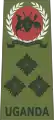 Brigadier(Ugandan Land Forces)