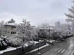 Part of the Višnjik street in the winter