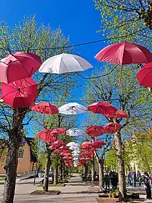 Umbrellas in Ogre