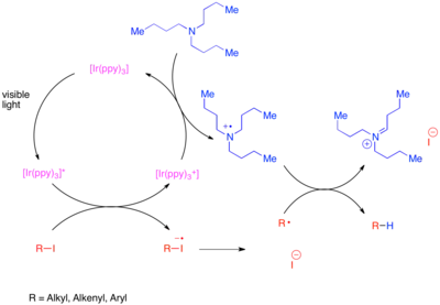 Mechanistic diagram of the reductive dehalogenation of unactivated carbon-iodine bonds