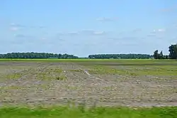 Flood-damaged fields north of Kalida