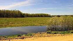 Landscape in Kimrsky District