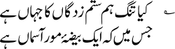 An example of the Nastaliq script used for writing Urdu.Nastaliq:؎ کیا تنگ ہم ستم زدگان کا جہاں ہےجس میں ایک بیضۂ مور آسماں ہےNaskh:؎ کیا تنگ ہم ستم زدگان کا جہاں ہےجس میں ایک بیضۂ مور آسماں ہے‎