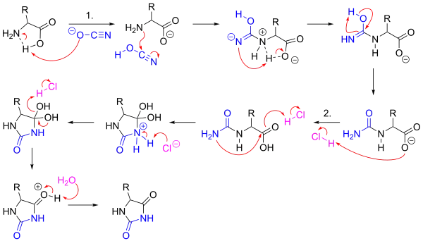 Urech Hydantoin synthesis