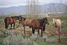 Image 38Farms and ranches (from Utah)