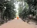 The monk returned to Hang Pagoda after begging for alms.