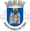 Coat of arms of Santa Maria da Feira