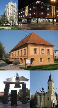 From top left: Vodotoranj (Water Tower Building), Mercator department store in city centre, Turopolje Museum, Monument to fallen soldiers in the Croatian War of Independence, Parish Church of the Annunciation of the Blessed Virgin Mary