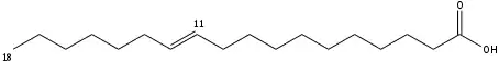 vaccenic acid structure