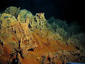 hydrothermal vents